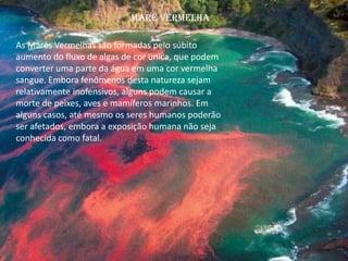 As Marés Vermelhas são formadas pelo súbito
aumento do fluxo de algas de cor única, que podem
converter uma parte da água em uma cor vermelha
sangue. Embora fenômenos desta natureza sejam
relativamente inofensivos, alguns podem causar a
morte de peixes, aves e mamíferos marinhos. Em
alguns casos, até mesmo os seres humanos poderão
ser afetados, embora a exposição humana não seja
conhecida como fatal.
Maré vermelha
 