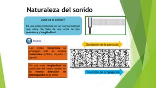 Naturaleza del sonido
¿Qué es el sonido?
Es una onda producida por un cuerpo material
que vibra. Se trata de una onda de tipo
mecánica y longitudinal.
Las ondas mecánicas se
propagan solo en medios
materiales (sólidos, líquidos o
gases).
En una onda longitudinal las
partículas del medio oscilan en
la misma dirección de
propagación de la onda.
Dirección de propagación
Oscilación de la partícula
 