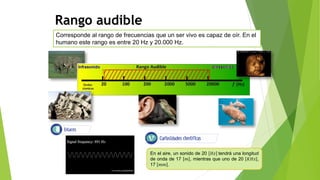 Rango audible
Corresponde al rango de frecuencias que un ser vivo es capaz de oír. En el
humano este rango es entre 20 Hz y 20.000 Hz.
En el aire, un sonido de 20 𝐻𝑧 tendrá una longitud
de onda de 17 𝑚 , mientras que uno de 20 𝐾𝐻𝑧 ,
17 𝑚𝑚 .
 
