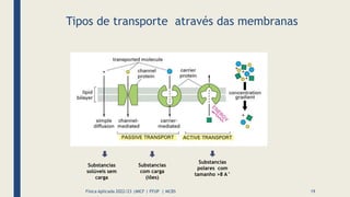 Tipos de transporte através das membranas
Física Aplicada 2022/23 |MICF | FFUP | MCBS
Substancias
solúveis sem
carga
Subst...