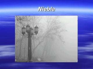 Niebla 