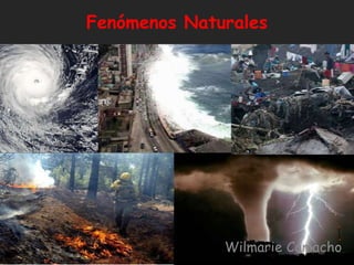 Fenómenos Naturales




              Wilmarie Camacho
 