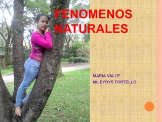 FENOMENOS
NATURALES


    MARIA VALLE
    MILEYDYS TORTELLO
 