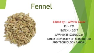 Fennel
Edited by :- ARVIND YADAV
ID :- 721
BATCH :- 2017
ARVINDY25102BUAT721
BANDA UNIVERSITY OF AGRICULTURE
AND TECHNOLOGY BANDA ,
 