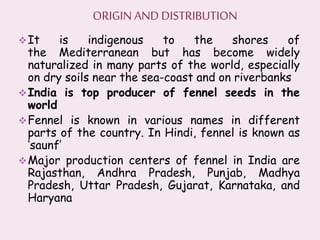 It is indigenous to the shores of
the Mediterranean but has become widely
naturalized in many parts of the world, especially
on dry soils near the sea-coast and on riverbanks
India is top producer of fennel seeds in the
world
Fennel is known in various names in different
parts of the country. In Hindi, fennel is known as
‘saunf’
Major production centers of fennel in India are
Rajasthan, Andhra Pradesh, Punjab, Madhya
Pradesh, Uttar Pradesh, Gujarat, Karnataka, and
Haryana
ORIGIN AND DISTRIBUTION
 