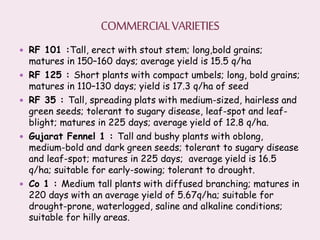  RF 101 :Tall, erect with stout stem; long,bold grains;
matures in 150–160 days; average yield is 15.5 q/ha
 RF 125 : Short plants with compact umbels; long, bold grains;
matures in 110–130 days; yield is 17.3 q/ha of seed
 RF 35 : Tall, spreading plats with medium-sized, hairless and
green seeds; tolerant to sugary disease, leaf-spot and leaf-
blight; matures in 225 days; average yield of 12.8 q/ha.
 Gujarat Fennel 1 : Tall and bushy plants with oblong,
medium-bold and dark green seeds; tolerant to sugary disease
and leaf-spot; matures in 225 days; average yield is 16.5
q/ha; suitable for early-sowing; tolerant to drought.
 Co 1 : Medium tall plants with diffused branching; matures in
220 days with an average yield of 5.67q/ha; suitable for
drought-prone, waterlogged, saline and alkaline conditions;
suitable for hilly areas.
 