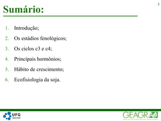 1. Introdução;
2. Os estádios fenológicos;
3. Os ciclos c3 e c4;
4. Principais hormônios;
5. Hábito de crescimento;
6. Ecofisiologia da soja.
Sumário:
2
 