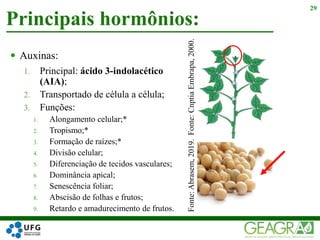  Auxinas:
1. Principal: ácido 3-indolacético
(AIA);
2. Transportado de célula a célula;
3. Funções:
1. Alongamento celular;*
2. Tropismo;*
3. Formação de raízes;*
4. Divisão celular;
5. Diferenciação de tecidos vasculares;
6. Dominância apical;
7. Senescência foliar;
8. Abscisão de folhas e frutos;
9. Retardo e amadurecimento de frutos.
Principais hormônios:
29
Fonte:Abrasem,2019.Fonte:CnptiaEmbrapa,2000.
 