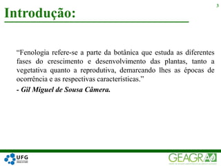 “Fenologia refere-se a parte da botânica que estuda as diferentes
fases do crescimento e desenvolvimento das plantas, tanto a
vegetativa quanto a reprodutiva, demarcando lhes as épocas de
ocorrência e as respectivas características.”
- Gil Miguel de Sousa Câmera.
Introdução:
3
 