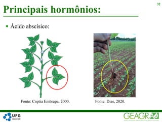  Ácido abscísico:
Principais hormônios:
32
Fonte: Cnptia Embrapa, 2000. Fonte: Dias, 2020.
 