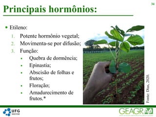  Etileno:
1. Potente hormônio vegetal;
2. Movimenta-se por difusão;
3. Função:
 Quebra de dormência;
 Epinastia;
 Abscisão de folhas e
frutos;
 Floração;
 Amadurecimento de
frutos.*
Principais hormônios:
34
Fonte:Dias,2020.
 