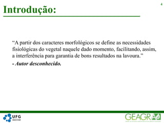 “A partir dos caracteres morfológicos se define as necessidades
fisiológicas do vegetal naquele dado momento, facilitando, assim,
a interferência para garantia de bons resultados na lavoura.”
- Autor desconhecido.
Introdução:
4
 