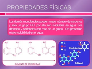 PROPIEDADES FÍSICAS

Los demás monofenoles poseen mayor número de carbonos
y sólo un grupo OH, por ello son insolubles en agua. Los
difenoles y polifenoles con más de un grupo –OH presentan
mayor solubilidad en el agua.
 