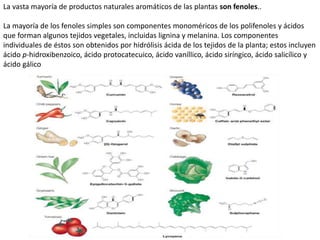 La vasta mayoría de productos naturales aromáticos de las plantas son fenoles..
La mayoría de los fenoles simples son componentes monoméricos de los polifenoles y ácidos
que forman algunos tejidos vegetales, incluidas lignina y melanina. Los componentes
individuales de éstos son obtenidos por hidrólisis ácida de los tejidos de la planta; estos incluyen
ácido p-hidroxibenzoico, ácido protocatecuico, ácido vaníllico, ácido siríngico, ácido salicílico y
ácido gálico
 