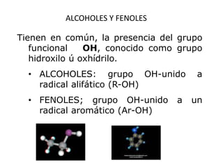 Tienen en común, la presencia del grupo
funcional OH, conocido como grupo
hidroxilo ú oxhídrilo.
• ALCOHOLES: grupo OH-unido a
radical alifático (R-OH)
• FENOLES; grupo OH-unido a un
radical aromático (Ar-OH)
ALCOHOLES Y FENOLES
 
