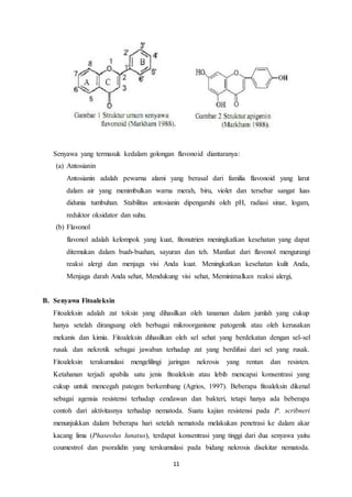 11
Senyawa yang termasuk kedalam golongan flavonoid diantaranya:
(a) Antosianin
Antosianin adalah pewarna alami yang berasal dari familia flavonoid yang larut
dalam air yang menimbulkan warna merah, biru, violet dan tersebar sangat luas
didunia tumbuhan. Stabilitas antosianin dipengaruhi oleh pH, radiasi sinar, logam,
reduktor oksidator dan suhu.
(b) Flavonol
flavonol adalah kelompok yang kuat, fitonutrien meningkatkan kesehatan yang dapat
ditemukan dalam buah-buahan, sayuran dan teh. Manfaat dari flavonol mengurangi
reaksi alergi dan menjaga visi Anda kuat. Meningkatkan kesehatan kulit Anda,
Menjaga darah Anda sehat, Mendukung visi sehat, Meminimalkan reaksi alergi,
B. Senyawa Fitoaleksin
Fitoaleksin adalah zat toksin yang dihasilkan oleh tanaman dalam jumlah yang cukup
hanya setelah dirangsang oleh berbagai mikroorganisme patogenik atau oleh kerusakan
mekanis dan kimia. Fitoaleksin dihasilkan oleh sel sehat yang berdekatan dengan sel-sel
rusak dan nekrotik sebagai jawaban terhadap zat yang berdifusi dari sel yang rusak.
Fitoaleksin terakumulasi mengelilingi jaringan nekrosis yang rentan dan resisten.
Ketahanan terjadi apabila satu jenis fitoaleksin atau lebih mencapai konsentrasi yang
cukup untuk mencegah patogen berkembang (Agrios, 1997). Beberapa fitoaleksin dikenal
sebagai agensia resistensi terhadap cendawan dan bakteri, tetapi hanya ada beberapa
contoh dari aktivitasnya terhadap nematoda. Suatu kajian resistensi pada P. scribneri
menunjukkan dalam beberapa hari setelah nematoda melakukan penetrasi ke dalam akar
kacang lima (Phaseolus lunatus), terdapat konsentrasi yang tinggi dari dua senyawa yaitu
coumestrol dan psoralidin yang terskumulasi pada bidang nekrosis disekitar nematoda.
 
