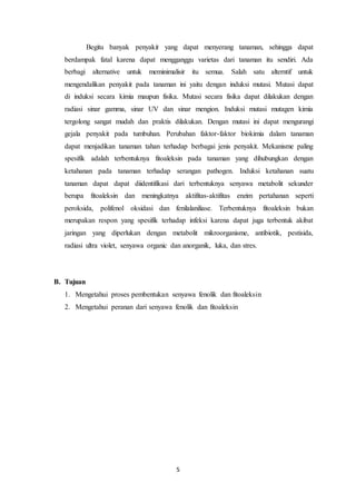 5
Begitu banyak penyakit yang dapat menyerang tanaman, sehingga dapat
berdampak fatal karena dapat mengganggu varietas dari tanaman itu sendiri. Ada
berbagi alternative untuk meminimalisir itu semua. Salah satu alterntif untuk
mengendalikan penyakit pada tanaman ini yaitu dengan induksi mutasi. Mutasi dapat
di induksi secara kimia maupun fisika. Mutasi secara fisika dapat dilakukan dengan
radiasi sinar gamma, sinar UV dan sinar mengion. Induksi mutasi mutagen kimia
tergolong sangat mudah dan praktis dilakukan. Dengan mutasi ini dapat mengurangi
gejala penyakit pada tumbuhan. Perubahan faktor-faktor biokimia dalam tanaman
dapat menjadikan tanaman tahan terhadap berbagai jenis penyakit. Mekanisme paling
spesifik adalah terbentuknya fitoaleksin pada tanaman yang dihubungkan dengan
ketahanan pada tanaman terhadap serangan pathogen. Induksi ketahanan suatu
tanaman dapat dapat diidentifikasi dari terbentuknya senyawa metabolit sekunder
berupa fitoaleksin dan meningkatnya aktifitas-aktifitas enzim pertahanan seperti
peroksida, polifenol oksidasi dan fenilalaniliase. Terbentuknya fitoaleksin bukan
merupakan respon yang spesifik terhadap infeksi karena dapat juga terbentuk akibat
jaringan yang diperlukan dengan metabolit mikroorganisme, antibiotik, pestisida,
radiasi ultra violet, senyawa organic dan anorganik, luka, dan stres.
B. Tujuan
1. Mengetahui proses pembentukan senyawa fenolik dan fitoaleksin
2. Mengetahui peranan dari senyawa fenolik dan fitoaleksin
 