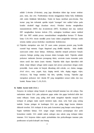 7
adalah L-tirosina (S-tirosina), yang juga ditemukan dalam tiga isomer struktur:
para, meta, dan orto. Pembentukan tirosina menggunakan bahan baku fenilalanina
oleh enzim fenilalanin hidroksilase. Enzim ini hanya membuat para-tirosina. Dua
isomer yang lain terbentuk apabila terjadi "serangan" dari radikal bebas pada
kondisi oksidatif tinggi (keadaan stress). Oksidasi tirosina menghasilkan
monoiodotirosin (MIT) dan di-iodotirosin (DIT). Kombinasi dari dua molekul
DIT menghasilkan hormon tiroksin (T4), sedangkan kombinasi antara molekul
DIT dan MIT melalui proses monodeiodinasi menghasilkan hormon T3 Rumus
kimia C9H11NO3 tirosin memiliki peran kunci dalam pengaktifan beberapa enzim
tertentu melalui proses fosforilasi (membentuk fosfotirosina).
(c) Triptofan merupakan satu dari 20 asam amino penyusun protein yang bersifat
esensial bagi manusia. Gugus fungsional yang dimiliki triptofan, tidak dimiliki
asam-asam amino dasar lainnya. Akibatnya, triptofan menjadi prekursor banyak
senyawa biologis penting yang tersusun dalam kerangka indol. Triptofan adalah
prekursor melatonin (hormon perangsang tidur), serotonin (suatu transmiter pada
sistem saraf) dan niasin (suatu vitamin). Triptofan tidak dapat diproduksi oleh
tubuh, tetapi didapat sebagai nutrisi asupan dari proses pencernaan dengan enzim
proteolitik. Asam amino ini banyak dikandung oleh cokelat, oat, durian, mangga,
dried dates, susu, yogurt, keju, daging merah, telur, daging unggas, wijen,
chickpeas, biji bunga matahari, biji labu, spirulina, kacang. Triptofan juga
merupakan prekursor dari vitamin B3 yang menginduksi sensasi relaks dan rasa
kantuk. Rumus kimia C11H12N2O2
b) Indole Acetat Acid ( IAA )
Senyawa ini terdapat cukup banyak di ujung koleoptil tanaman kea rah cahaya. Dua
mekanisme sintesis IAA yaitu pelepasan gugus amino dan gugus karboksil akhir dari
rantai triftopan. Enzim yang paling aktif untuk mengubah triptofan menjadi IAA
terdapat di jaringan muda seperti meristem tajuk, daun, serta buah yang sedang
tumbuh. Semua jaringan ini kandungan IAA nya paling tinggi karena disintesis
didaerah tersebut. IAA terdapat di akar pada konsentrasi yang hamper sama dengan di
bagian tumbuhan lainnya. IAA sangat sangat memacu pemanjangan akar pada
konsentrasi rendah. IAA adalah auksin endogen atau auksin yang terdapat dalam
tanaman. IAA berperan dalam aspek pertumbuhan dan perkembangan tanaman yaitu
pembesaran sel pada koleoptil atau batang
 