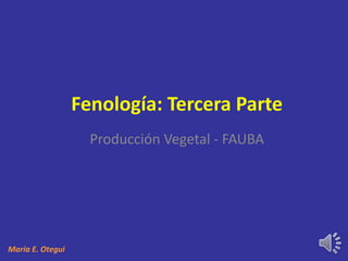 Fenología: Tercera Parte
Producción Vegetal - FAUBA
María E. Otegui
 