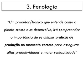 3. Fenologia
“Um produtor/técnico que entende como a
planta cresce e se desenvolve, irá compreender
a importância de se utilizar práticas de
produção no momento correto para assegurar
altas produtividades e maior rentabilidade”
 