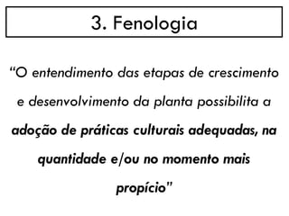 3. Fenologia
“O entendimento das etapas de crescimento
e desenvolvimento da planta possibilita a
adoção de práticas culturais adequadas, na
quantidade e/ou no momento mais
propício”
 