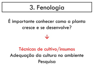 3. Fenologia
→
É importante conhecer como a planta
cresce e se desenvolve?
Técnicas de cultivo/insumos
Adequação da cultura no ambiente
Pesquisa
 