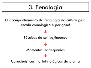 3. Fenologia
→
O acompanhamento da fenologia da cultura pela
escala cronológica é perigoso!
Técnicas de cultivo/insumos
→
Momentos inadequados
→
Características morfofisiológicas da planta
 