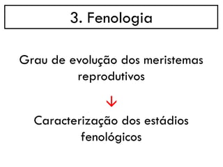 3. Fenologia
Grau de evolução dos meristemas
reprodutivos
→
Caracterização dos estádios
fenológicos
 