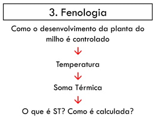 3. Fenologia
→
Como o desenvolvimento da planta do
milho é controlado
Temperatura
→
Soma Térmica
→
O que é ST? Como é calculada?
 
