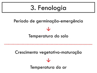 3. Fenologia
→
Período de germinação-emergência
Temperatura do solo
→
Crescimento vegetativo-maturação
Temperatura do ar
 