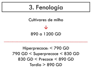 3. Fenologia
→
Cultivares de milho
890 a 1200 GD
Hiperprecoce: < 790 GD
790 GD < Superprecoce < 830 GD
830 GD < Precoce < 890 GD
Tardio > 890 GD
 