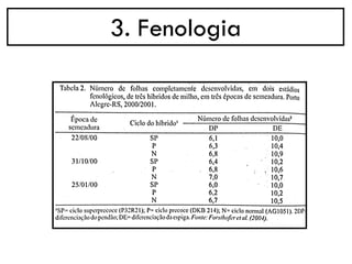 3. Fenologia
 