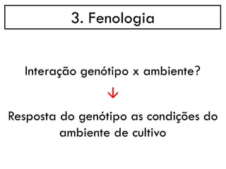 3. Fenologia
→
Interação genótipo x ambiente?
Resposta do genótipo as condições do
ambiente de cultivo
 