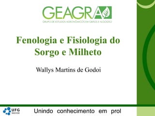 Unindo conhecimento em prol
Fenologia e Fisiologia do
Sorgo e Milheto
Wallys Martins de Godoi
 