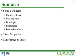  Sorgo e milheto:
 Características;
 Uso agrícola;
 Fenologia;
 Fisiologia;
 Ponto de colheita.
 Situações práticas;
 Considerações finais.
Sumário
2
 