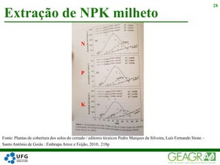 Extração de NPK milheto
28
Fonte: Plantas de cobertura dos solos do cerrado / editores técnicos Pedro Marques da Silveira, Luís Fernando Stone –
Santo Antônio de Goiás : Embrapa Arroz e Feijão, 2010. 218p
K
N
P
 