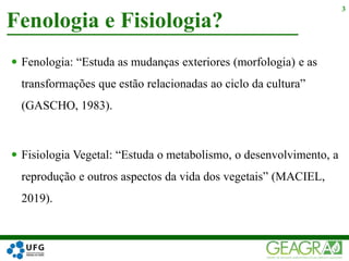  Fenologia: “Estuda as mudanças exteriores (morfologia) e as
transformações que estão relacionadas ao ciclo da cultura”
(GASCHO, 1983).
 Fisiologia Vegetal: “Estuda o metabolismo, o desenvolvimento, a
reprodução e outros aspectos da vida dos vegetais” (MACIEL,
2019).
Fenologia e Fisiologia?
3
 