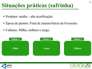  Produtor: média – alta tecnificação;
 Época de plantio: Final de Janeiro/Início de Fevereiro.
 Culturas: Milho, milheto e sorgo.
Situações práticas (safrinha)
37
Milho Sorgo
Talhão 1 Talhão 2
Milheto
Talhão 3
 
