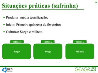  Produtor: média tecnificação;
 Início: Primeira quinzena de fevereiro;
 Culturas: Sorgo e milheto.
Situações práticas (safrinha)
38
Sorgo Sorgo
Talhão 1 Talhão 2
Milheto
Talhão 3
 