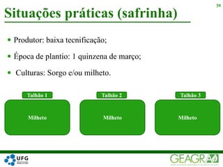  Produtor: baixa tecnificação;
 Época de plantio: 1 quinzena de março;
 Culturas: Sorgo e/ou milheto.
Situações práticas (safrinha)
39
Milheto Milheto
Talhão 1 Talhão 2
Milheto
Talhão 3
 