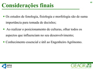  Os estudos de fenologia, fisiologia e morfologia são de suma
importância para tomada de decisões;
 Ao realizar o posicionamento de culturas, olhar todos os
aspectos que influenciam no seu desenvolvimento;
 Conhecimento essencial e útil ao Engenheiro Agrônomo.
Considerações finais
40
 