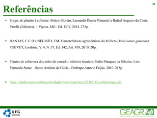  Sorgo: do plantio à colheita/ Aluízio Borém, Leonardo Duarte Pimentel e Rafael Augusto da Costa
Parella (Editores). – Viçosa, MG : Ed. UFV, 2014. 275p.
 DANTAS, C.C.O e NEGRÃO, F.M. Características agronômicas do Milheto (Penissetum glaucum).
PUBVET, Londrina, V. 4, N. 37, Ed. 142, Art. 958, 2010. 20p.
 Plantas de cobertura dos solos do cerrado / editores técnicos Pedro Marques da Silveira, Luís
Fernando Stone – Santo Antônio de Goiás : Embrapa Arroz e Feijão, 2010. 218p.
 https://ainfo.cnptia.embrapa.br/digital/bitstream/item/27383/1/Ecofisiologia.pdf
Referências
41
 