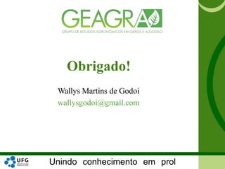 Unindo conhecimento em prol
Wallys Martins de Godoi
wallysgodoi@gmail.com
Obrigado!
 