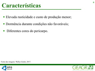  Elevada rusticidade e custo de produção menor;
 Dormência durante condições não favoráveis;
 Diferentes cores do pericarpo.
Características
8
Fonte das imagens: Wallys Godoi, 2017.
 