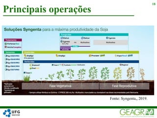 Principais operações
18
Fonte: Syngenta,, 2019.
 