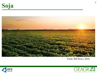 Soja
3
Fonte: RD News, 2018.
 
