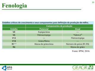 Fenologia
33
Fonte: IPNI, 2016.
 
