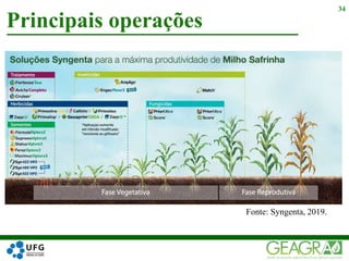 Principais operações
34
Fonte: Syngenta, 2019.
 