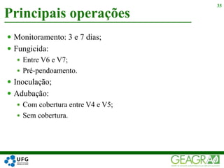  Monitoramento: 3 e 7 dias;
 Fungicida:
 Entre V6 e V7;
 Pré-pendoamento.
 Inoculação;
 Adubação:
 Com cobertura entre V4 e V5;
 Sem cobertura.
Principais operações
35
 