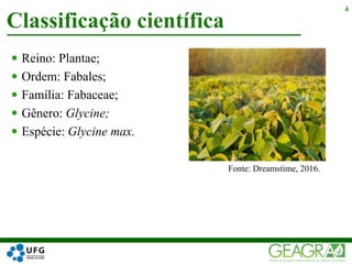  Reino: Plantae;
 Ordem: Fabales;
 Família: Fabaceae;
 Gênero: Glycine;
 Espécie: Glycine max.
Classificação científica
4
Fonte: Dreamstime, 2016.
 